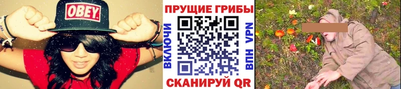 Галлюциногенные грибы Cubensis  наркотики  Новая Ляля 